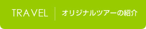 オリジナルツアーの紹介